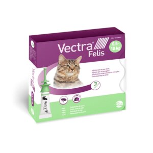 Gato posando con pipetas antipulgas Vectra Felis