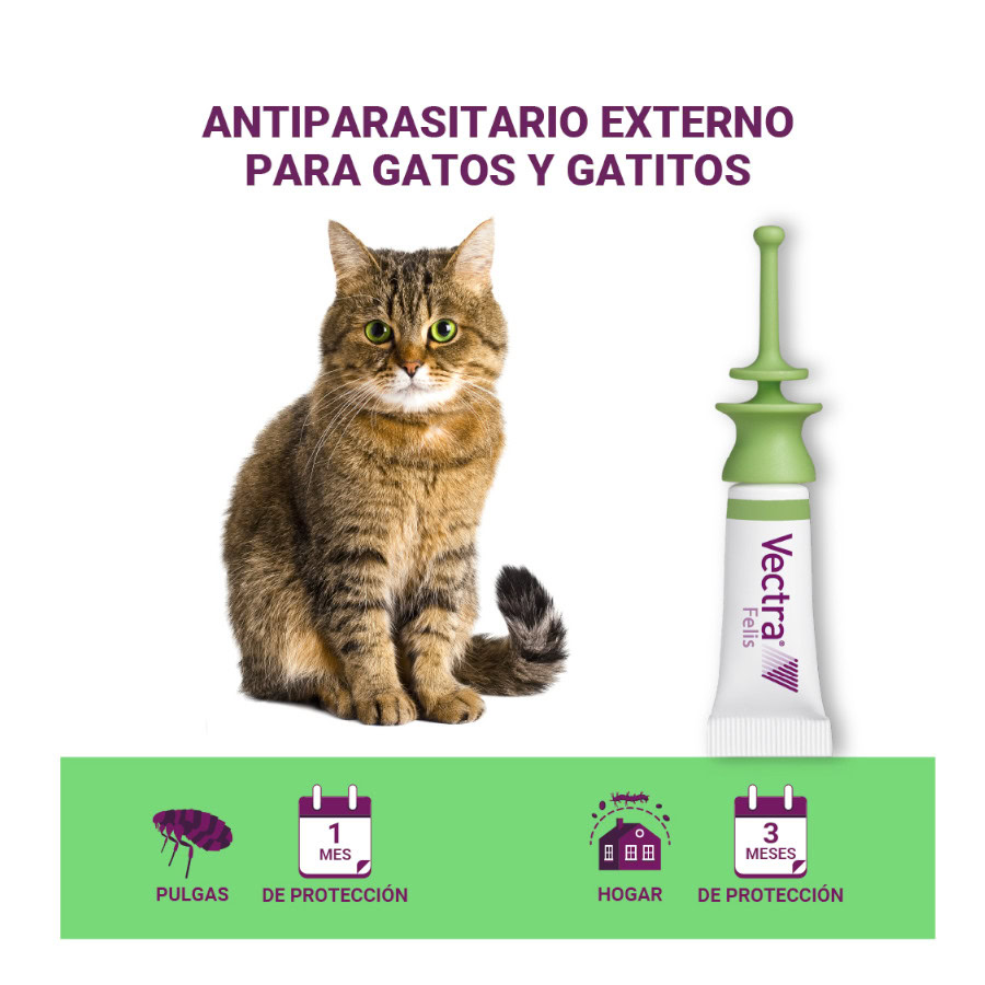 Vista lateral de las pipetas Vectra Felis para gatos
