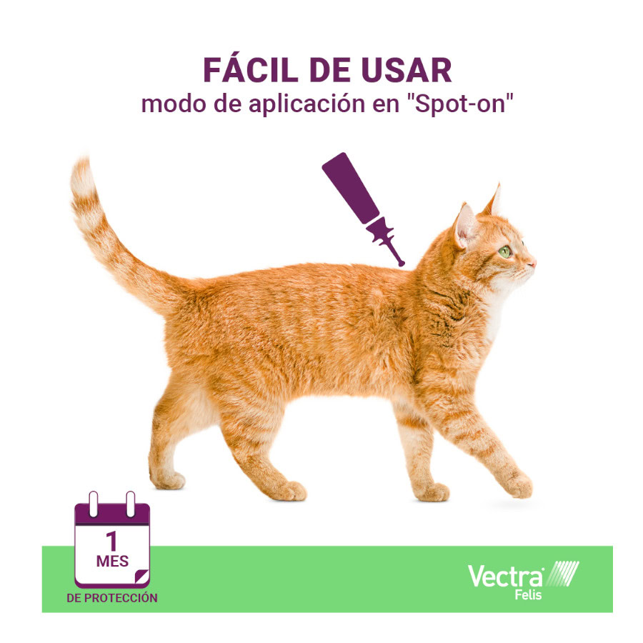 Pipetas antipulgas Vectra Felis sostenidas en una mano