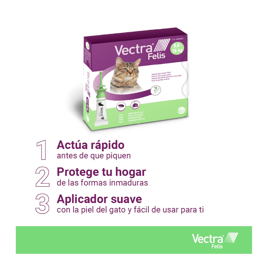 Empaque abierto de las pipetas Vectra Felis para gatos