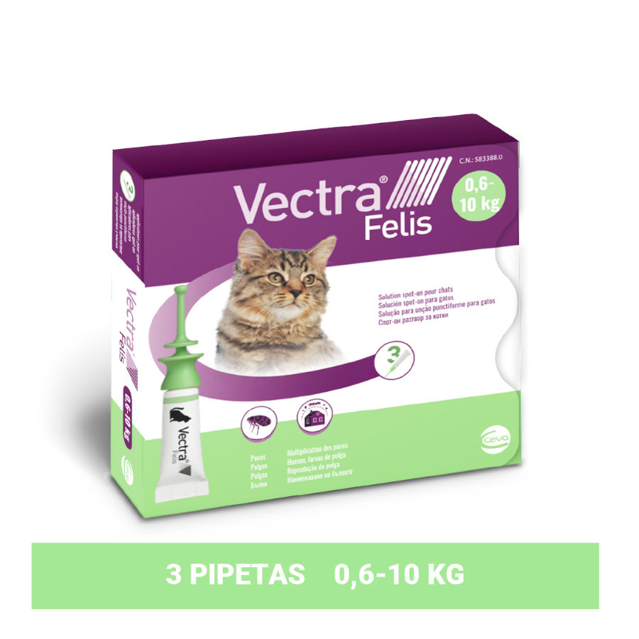 Envase completo de las pipetas antipulgas Vectra Felis