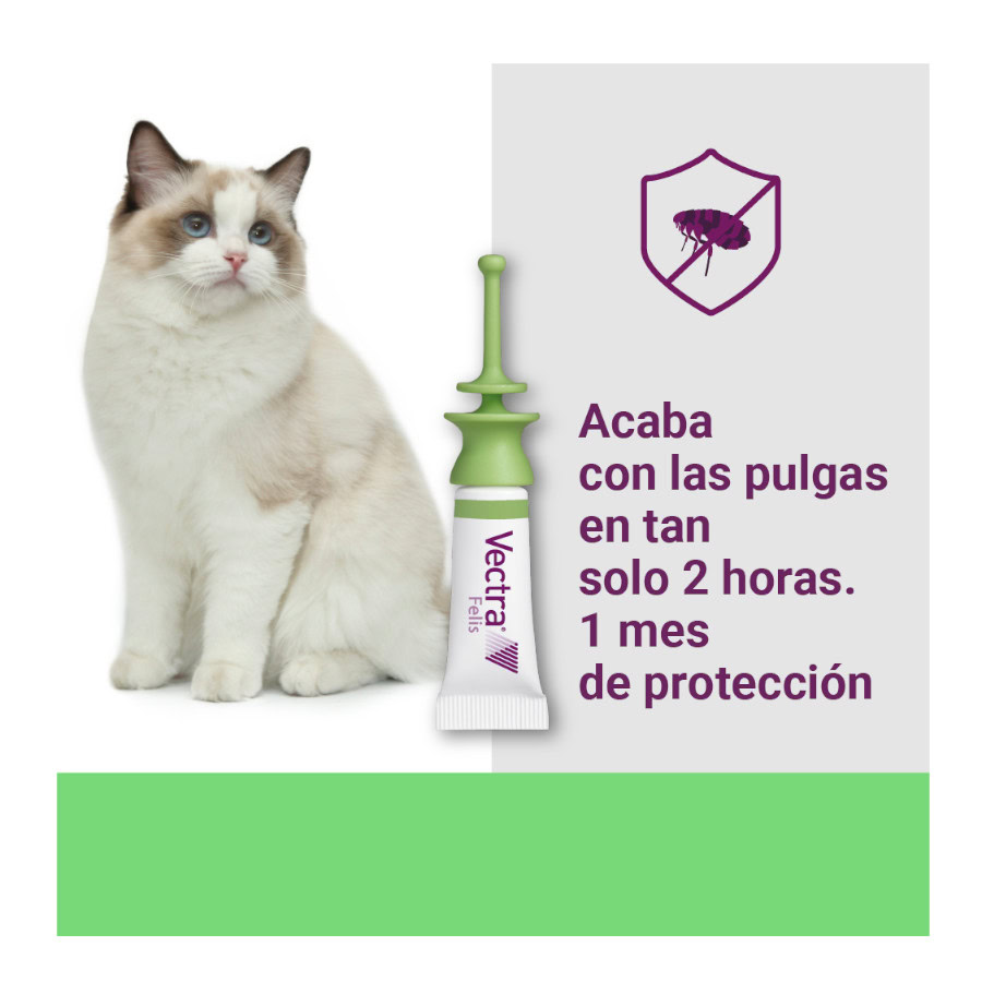 Close-up del diseño de las pipetas Vectra Felis