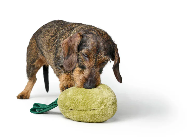 Hunter Juguete Forma PERA Venecia (con ranuras para premios y correa de tira y afloja) 15 cm Verde para Perros - Imagen 2