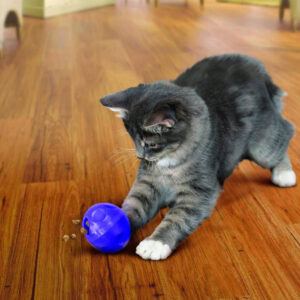 Bola dispensadora de premios en tamaño adecuado para gatos.