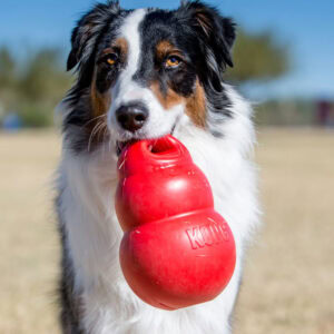 Perro jugando con el juguete Kong Bounzer rojo de Emperrados