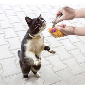 Detalle del ingrediente catnip en el Kong Recargable de Emperrados.