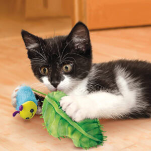 Gato jugando con el peluche Kong Flingaroo Oruga de Emperrados.