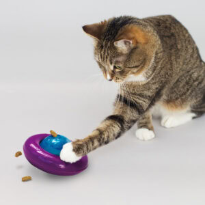 Primer plano del material del Kong Gyro Portagolosinas para gatos de Emperrados