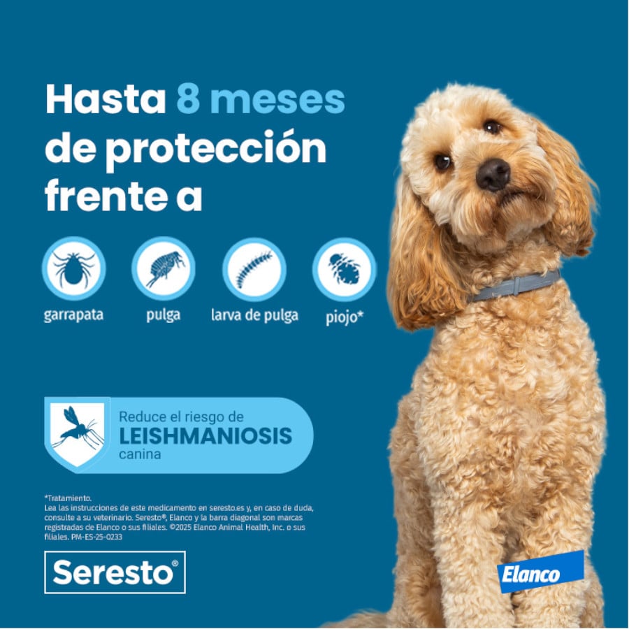 Perro llevando el collar antiparasitario Seresto.