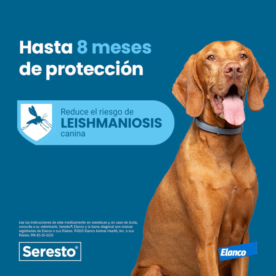 Visión lateral del collar Seresto para perros en uso.