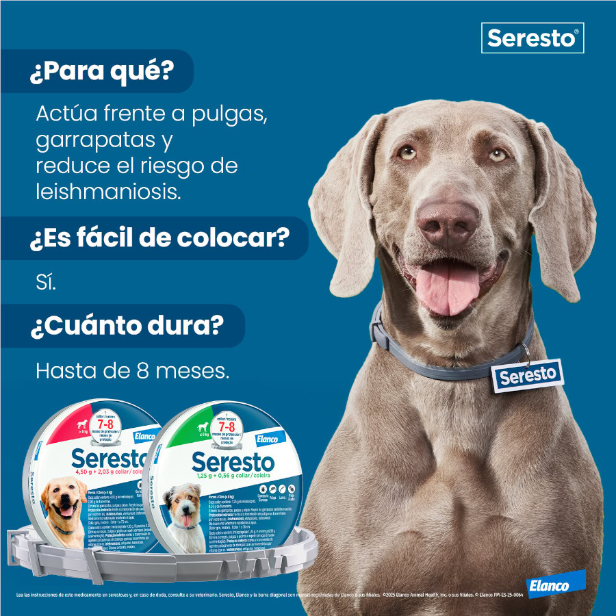 Detalle de la textura del collar antiparasitario Seresto.