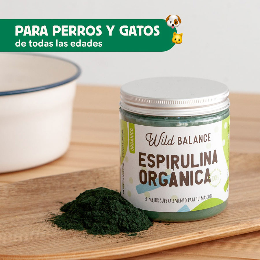 Perro luciendo saludable gracias al suplemento de espirulina orgánica de Emperrados.