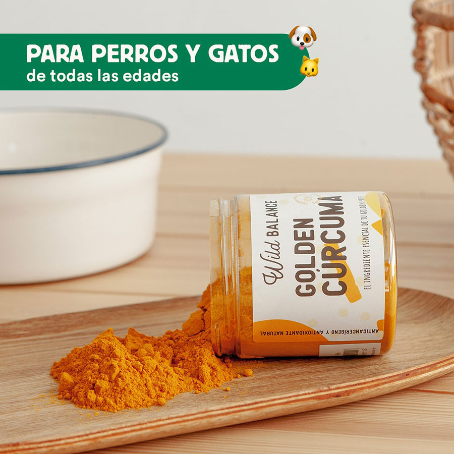Perro disfrutando de los beneficios del suplemento Golden Cúrcuma de Emperrados.