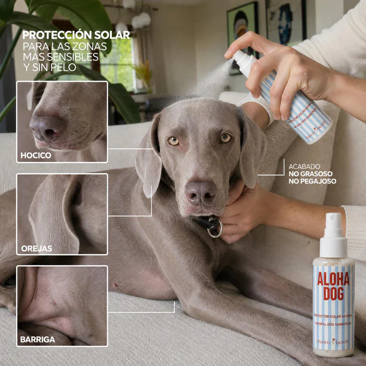 Masco Beauty Spray Protección Solar Natural SPF 30 (Aloha Dog) 100 ml para Perros y Gatos - Imagen 4