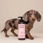 Masco Beauty Champú para Teckel pelo corto de Jojoba y Manzanilla 250 ml para Perros y Gatos