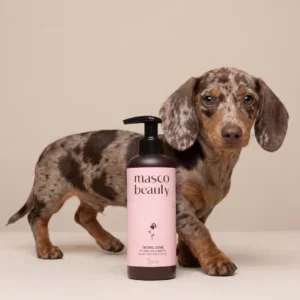Masco Beauty Champú para Teckel pelo corto de Jojoba y Manzanilla 250 ml para Perros y Gatos