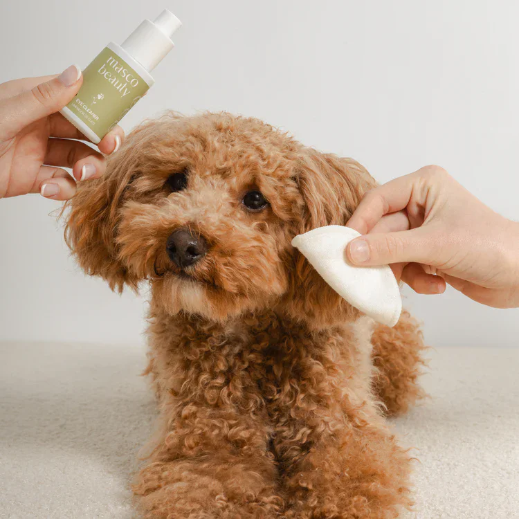 Masco Beauty Limpiador de Ojos 30 ml para Perros y Gatos - Imagen 2