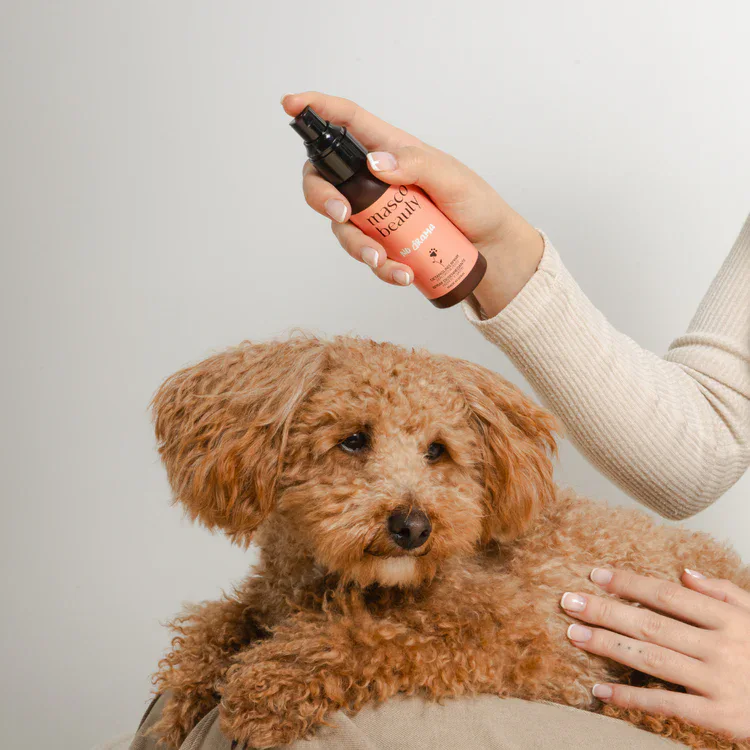 Masco Beauty Spray Desenredante "No Drama" 100 ml para Perros y Gatos - Imagen 5