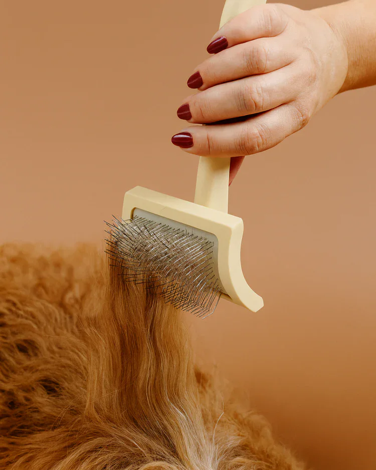 Masco Beauty Spray Desenredante "No Drama" 100 ml para Perros y Gatos - Imagen 4