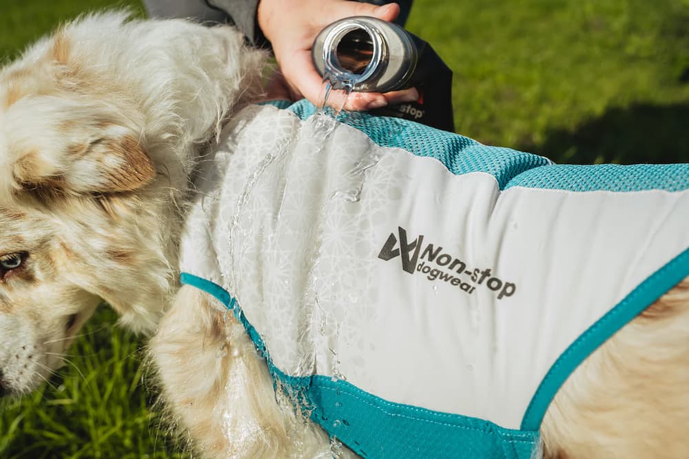 Non-Stop Cooling Pull-On Vest / Chaleco Refrescante GRIS CLARO Y TURQUESA para Perros - Imagen 4
