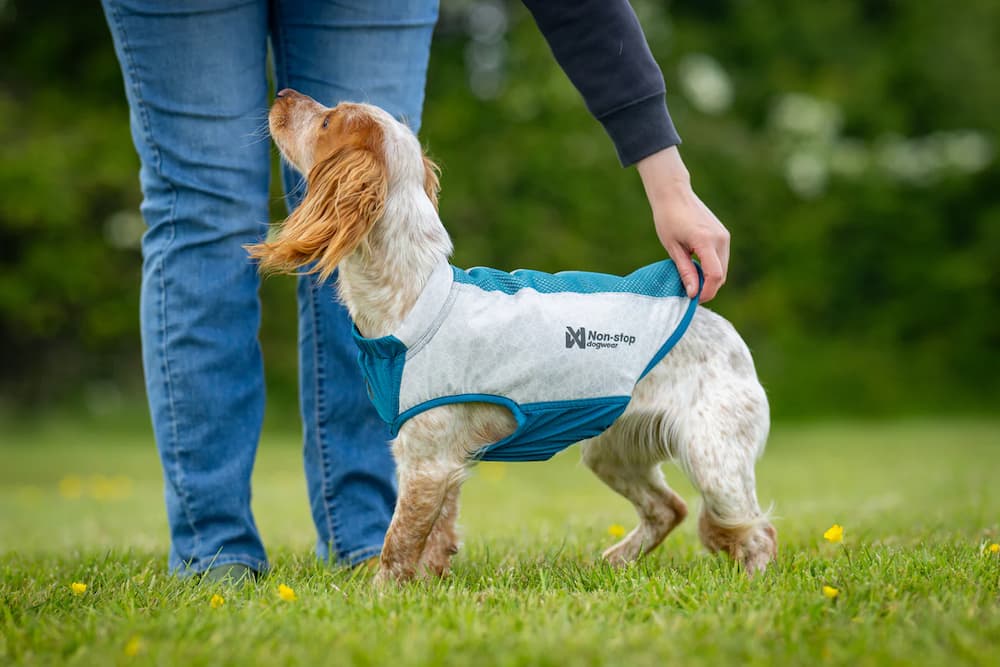 Non-Stop Cooling Pull-On Vest / Chaleco Refrescante GRIS CLARO Y TURQUESA para Perros - Imagen 3
