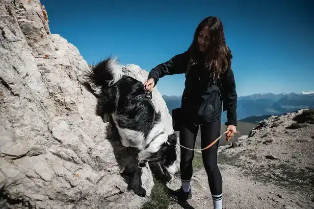 Non-Stop Line Harness Grip / Arnés ergonómico NEGRO para Perros - Imagen 3
