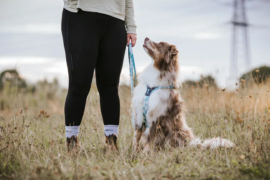 Non-Stop Trail Quest Leash / Correa Azul Hielo 15mm/2m para Perros - Imagen 3
