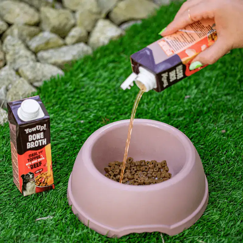 YowUp Caldo de Huesos de Ternera con vegetales y jengibre 250 ml para Perros - Imagen 2