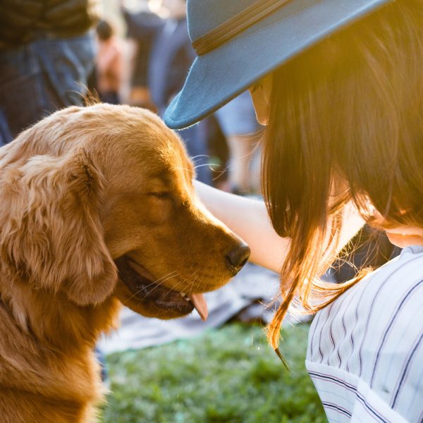 pienso para perros, dieta Barf, comida natural para perros, comida para gatos, comida natural para gatos, comida para perros, dieta barf la rioja, dieta barf logroño, dieta barf para gatos, dieta barf perros logroño, comida para gatitos, comida de perro, comida natural para gatos, snacks naturales para perros, snack para gatos, emperrados logroño,