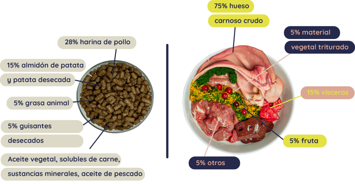 dieta Barf Logroño, comida natural para perros, comida natural para gatos, comida para perros, dieta barf la rioja, dieta barf logroño, dieta barf para gatos, dieta barf perros logroño, comida natural para gatos