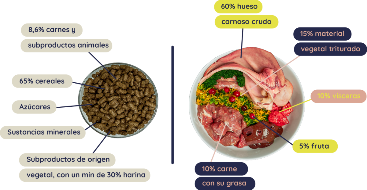 dieta Barf Logroño, comida natural para perros, comida natural para gatos, comida para perros, dieta barf la rioja, dieta barf logroño, dieta barf para gatos, dieta barf perros logroño, comida natural para gatos